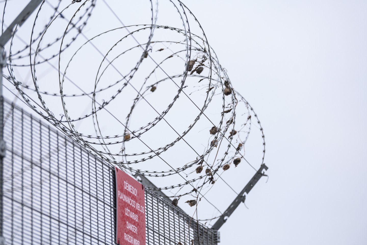 Dzūkijos pasieniečių kasdienybė: ir migrantai, ir kontrabandininkai.<br>V.Skaraičio nuotr.
