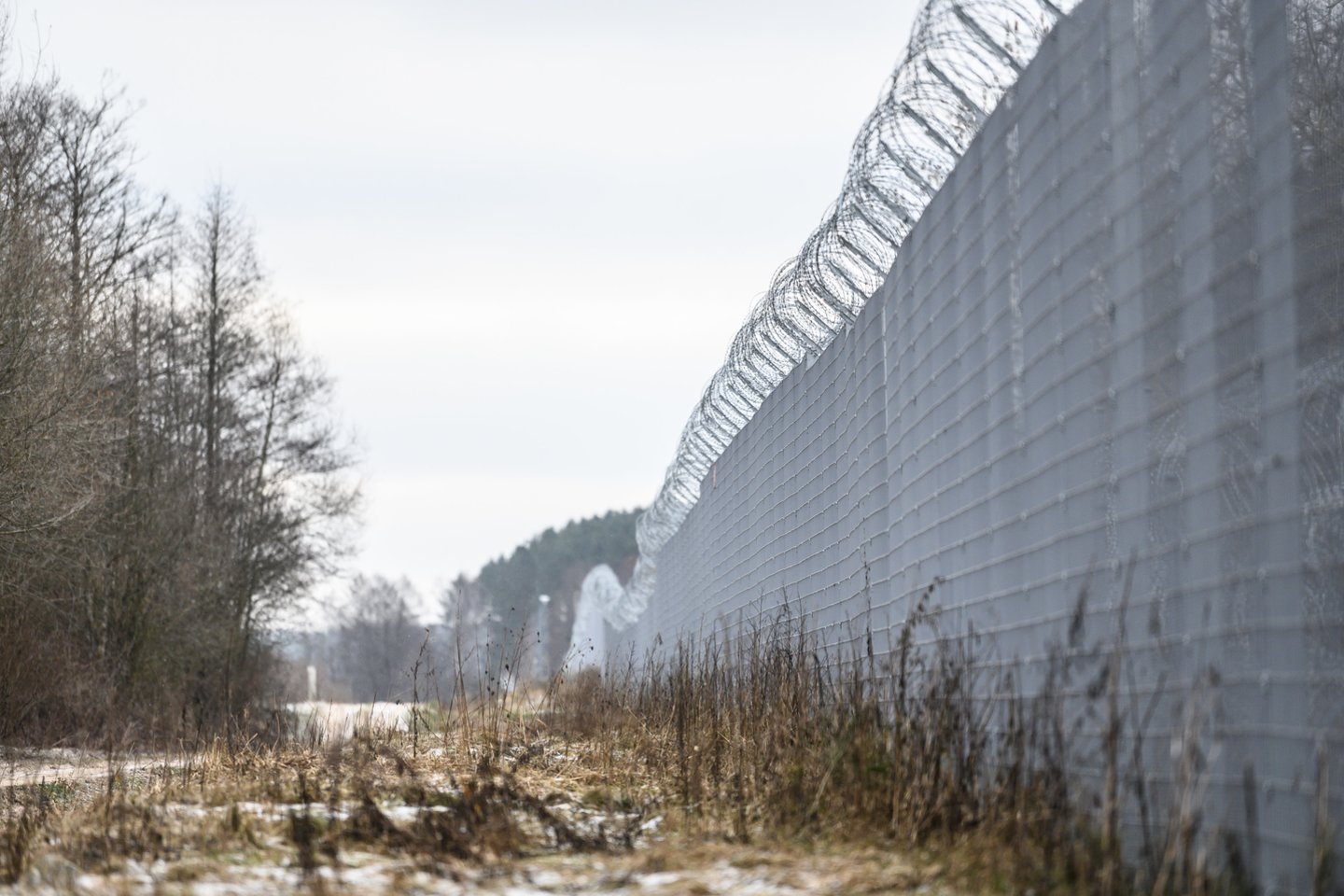 Dzūkijos pasieniečių kasdienybė: ir migrantai, ir kontrabandininkai.<br>V.Skaraičio nuotr.