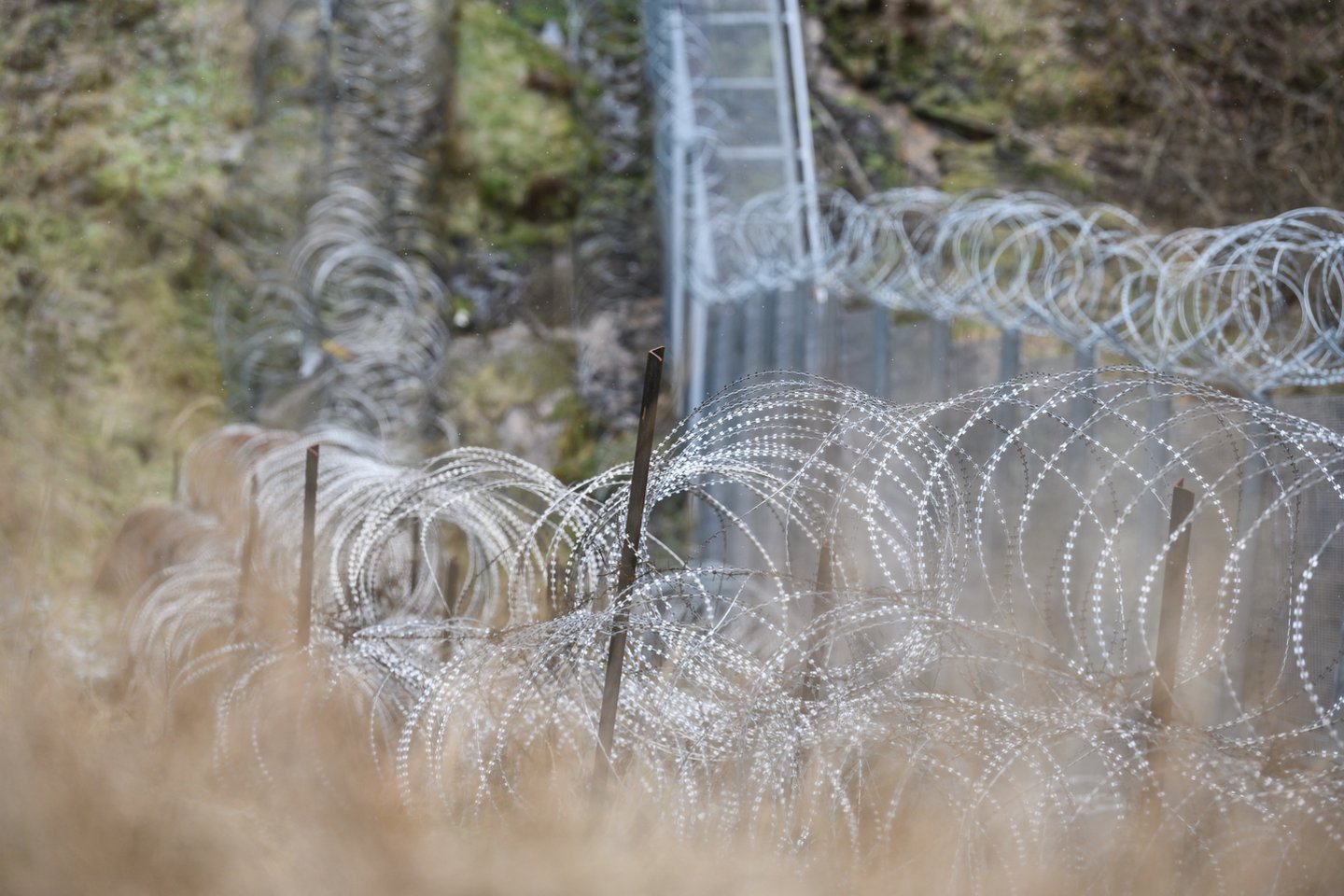 Dzūkijos pasieniečių kasdienybė: ir migrantai, ir kontrabandininkai.<br>V.Skaraičio nuotr.