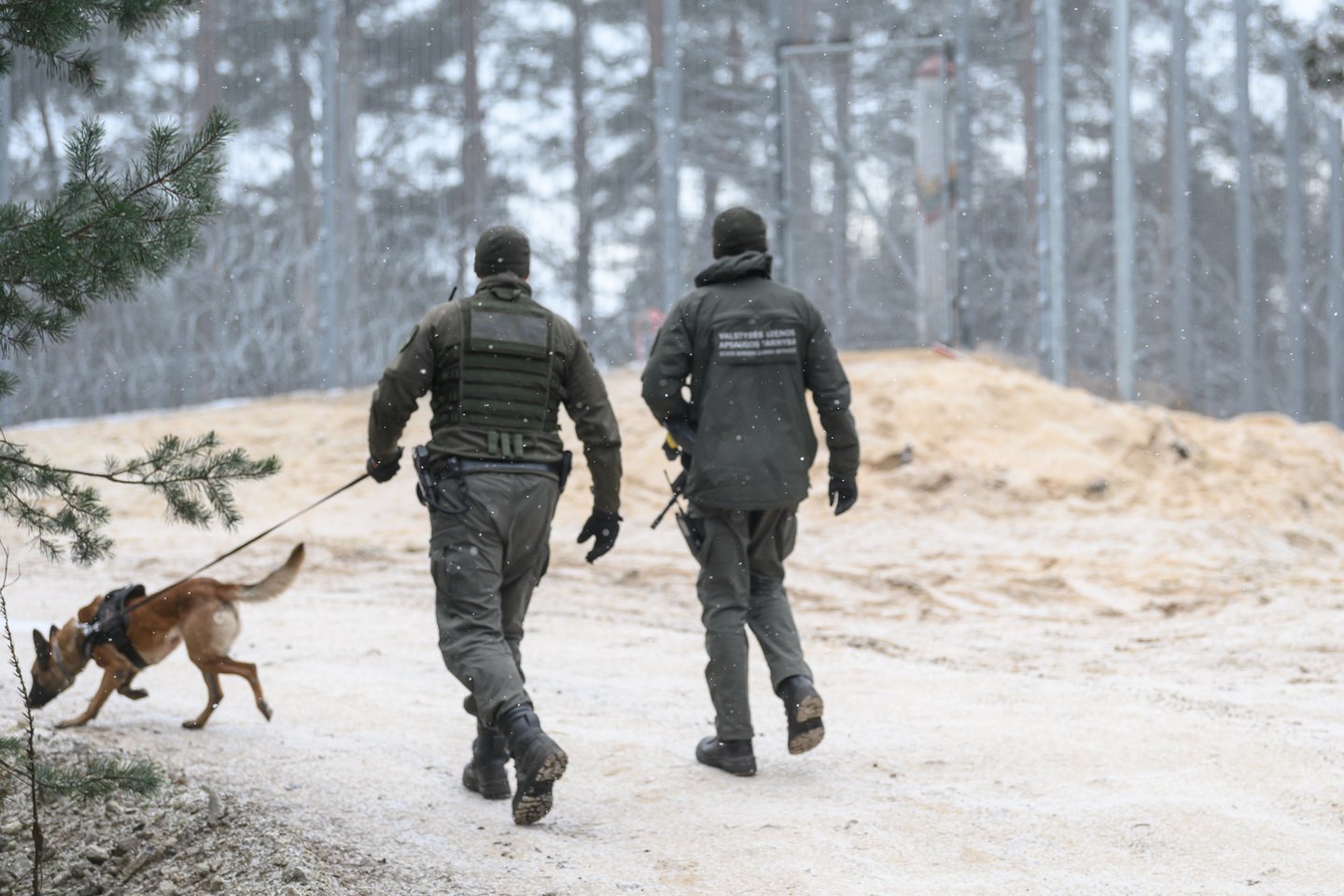 Dzūkijos pasieniečių kasdienybė: ir migrantai, ir kontrabandininkai.<br>V.Skaraičio nuotr.