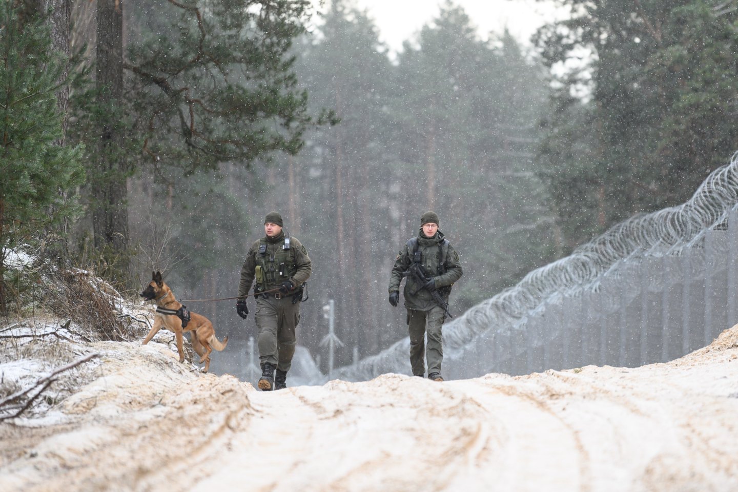 Dzūkijos pasieniečių kasdienybė: ir migrantai, ir kontrabandininkai.<br>V.Skaraičio nuotr.