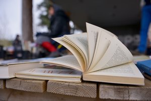 Auksinės lupos rinkimai: kodėl leidykloms derėtų dažniau atmesti prastai parašytus ar išverstus tekstus?