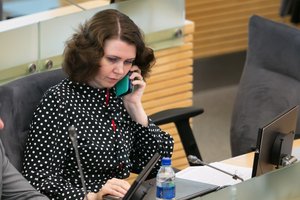 NSGK posėdyje kilo diskusija dėl valstybės tarnybos reformos: socialdemokratė pateikė du pasiūlymus