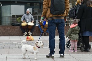 „Einame į savotišką susinaikinimą“: su negailestinga statistika susidūrę politikai griebėsi imigracijos kortos