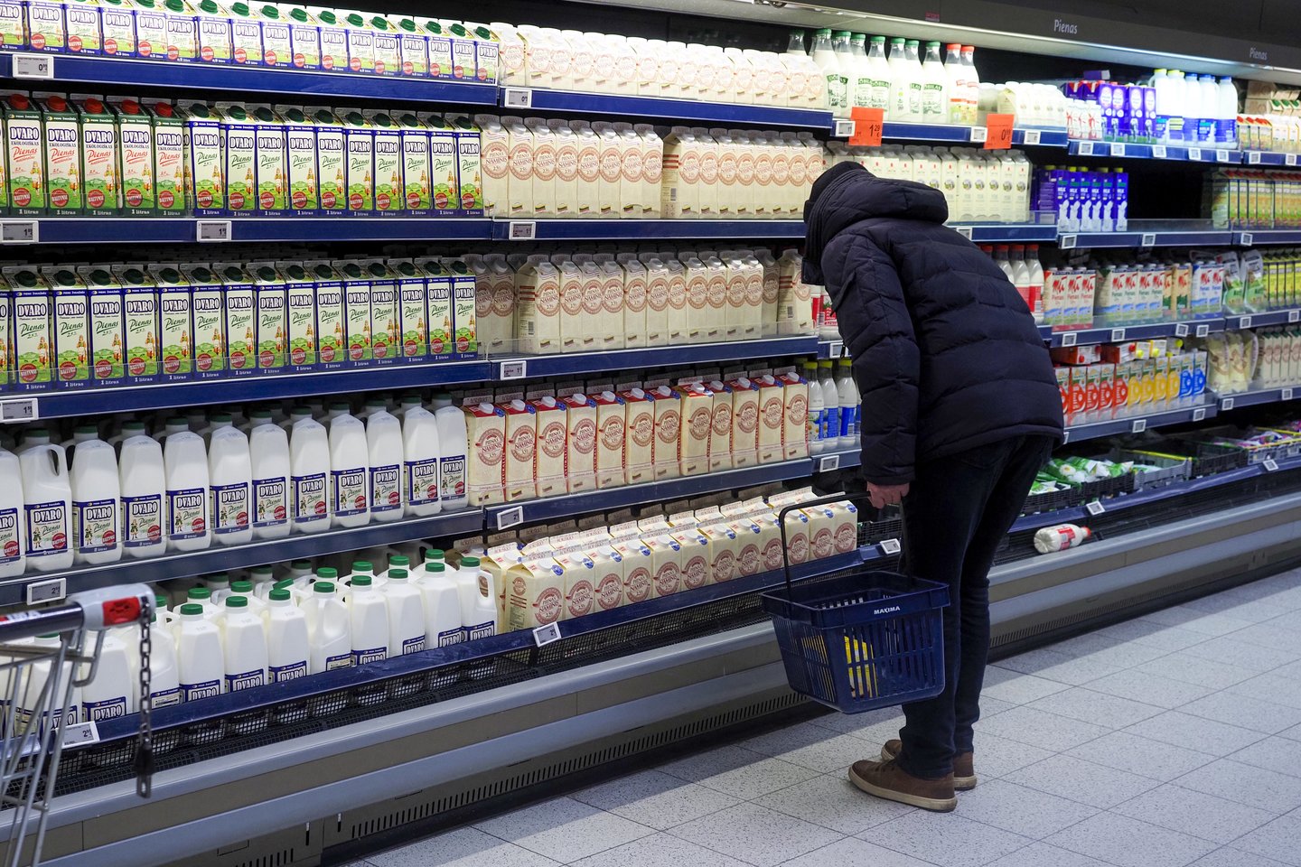 Pieno produktų gamintojai į šiuos metus žvelgia be džiugesio, vieni jau kalba net apie griūtį, mat eksportuojamų prekių kainos drastiškai krito.<br>V.Ščiavinsko nuotr.