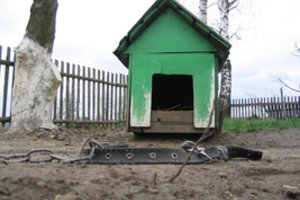 Suvalkietis, keršydamas broliui, žiauriai nužudė jo šunį: vaizdas sukrėtė pareigūnus – šuo patyrė didžiules kančias