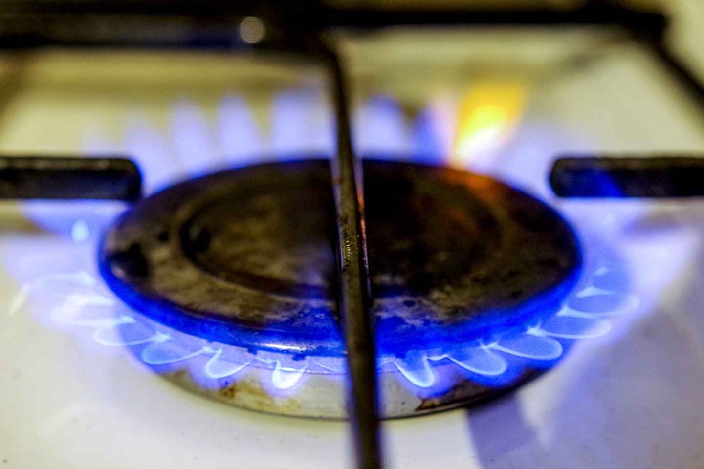 JAV Federalinė agentūra svarsto galimybę uždrausti būstuose naudoti dujines virykles.<br>V. Ščiavinsko nuotr.
