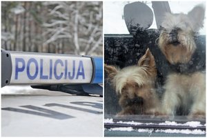 Pavežėjas Vilniuje policijos prašo surasti keleivę: jos šuo pridergė automobilyje, moteris paspruko