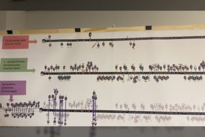 Buvusi viceministrė L. Jaruševičienė teismui aiškino, kaip ruošė sutartį dėl COVID-19 greitųjų testų