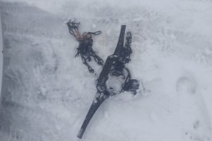 Nustatyti trys pažeidėjai, statę galūninius spąstus: gresia bauda iki 1700 eurų ir ilgam netekti teisės medžioti