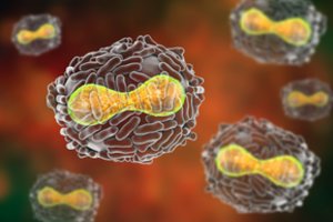 Viena mirtiniausių žmonijos ligų yra kur kas senesnė, nei galvojome iki šiol