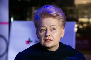 D. Grybauskaitė: NATO šalys jau įsitraukė į karą Ukrainoje