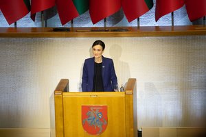 V. Čmilytė-Nielsen apie laisvės kainą: karas prieš Ukrainą suskaičiuoja, pasveria, padalija