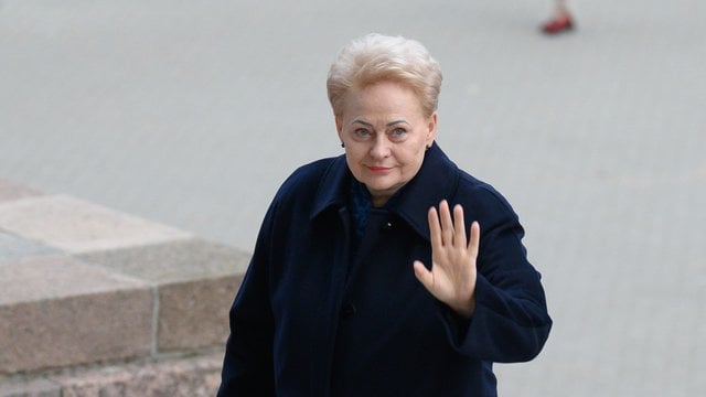 D. Grybauskaitė apie diskusijas dėl Vokietijos brigados: tai rodo mūsų politinio elito nebrandumą