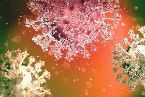 12 virusų žudikų, kuriais užsikrėtus gali grėsti mirties nuosprendis