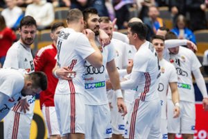 Vengrijos rankininkai davė pamoką islandams, lenkams namų sienos nepadeda