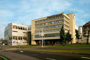 #GeroŽodžioGalia: kokio pokyčio visuomenėje siekia „Volfas Engelman Nealkoholinis“?