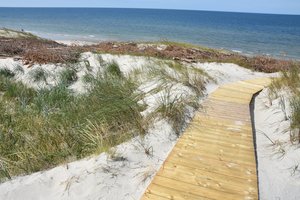 Verslininkai prisipažino, kad Kunigiškėse pakeitė kopagūbrio reljefą