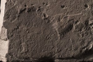 Mokslininkai aptiko seniausią pasaulyje akmenį su runomis