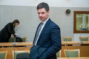 P. Saudargas siūlo aiškiai reglamentuoti Seimo narių komandiruočių tvarką