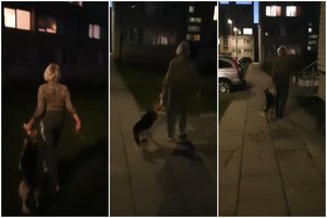 Užfiksavo žiaurų vilnietės elgesį su šunimi: taip pasielgusi moteris atsipirko menka bauda