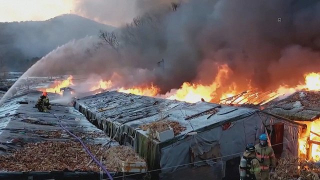 Seulo lūšnyne kilo didžiulis gaisras – evakuota apie 500 žmonių
