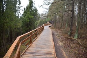 Gražiausiu Lietuvoje pripažintas takas vėl atviras lankytojams: kviečia pasigrožėti