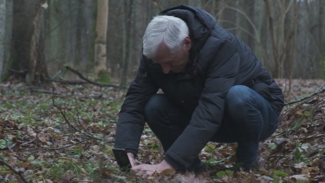Nors dar žiema, miške fiksuojami pirmieji žibuoklių žiedai: alytiškis negalėjo patikėti savo akimis