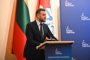 G. Landsbergio teigimu, Europa bijo įveikti Rusiją