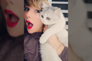 Taylor Swift katė – tarp turtingiausių augintinių pasaulyje: skelbia gyvūnų, kurie žarsto milijonus, sąrašą