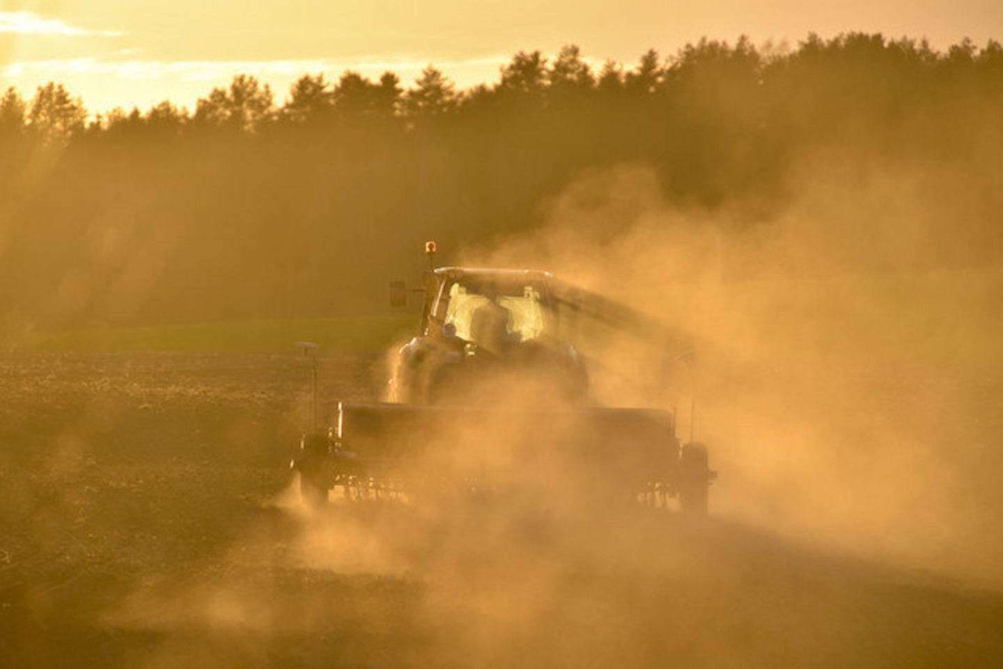 Švedijos ūkyje dirbti pasamdytas lietuvis pasakoja patyręs tikrą košmarą.<br>Asociatyvi V.Ščiavinsko nuotr.
