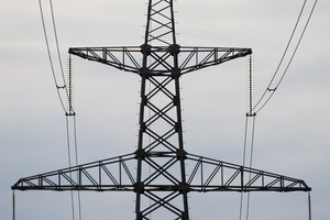 Prezidento patarėja I. Segalovičienė aiškina, kad VERT turi stebėti, ar tiekėjai mažina elektros kainas gyventojams