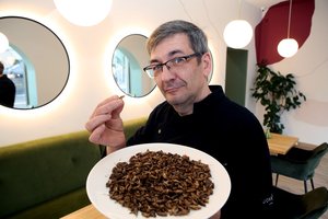 Nauja tvarka jau galioja: ES leido maistui vartoti naminius svirplius ir mažųjų milčių lervas