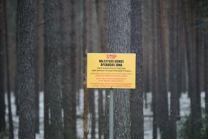 Pasienyje su Baltarusija apgręžta 17 neteisėtų migrantų