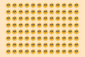 Suranda tik pastabiausi: kuri saulė skiriasi nuo kitų?