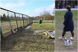 Iš Klaipėdos – šunų mylėtojų skundas: baisu darosi pagalvojus, kas gali nutikti vaikui ar praeiviui