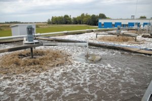 Išvydę, kas dedasi valymo įrenginių viduje – nustėro: dėl negyvų šamų pradėtas tyrimas