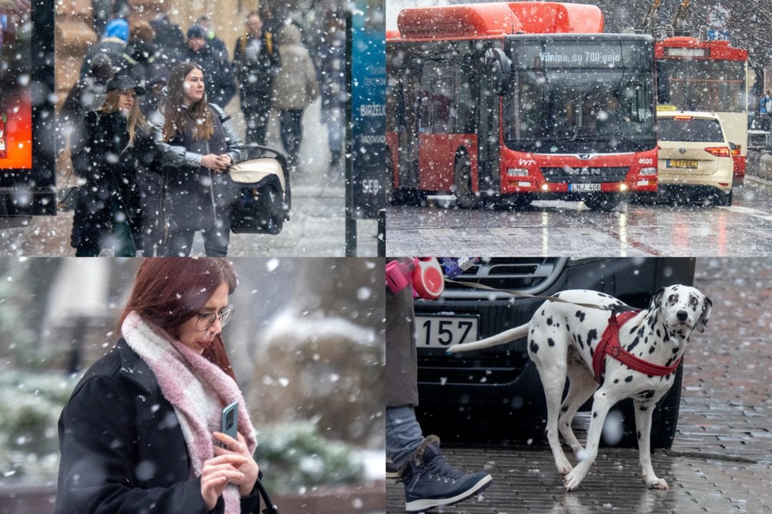  Sniegas Vilniuje.<br> lrytas.lt koliažas.