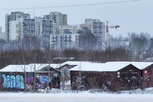 Nerijus Mačiulis: šis šokas sukurs daugiausia problemų šiemet Lietuvoje