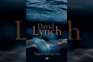 Knygoje „Pagauti didžiąją žuvį“: kaip nerti į save ir pažadinti palaimingąją sąmonę