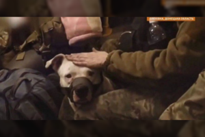 Okupantų įkaitu tapęs „Azovstal“ pitbulis pas R. Kadyrovą neužsibuvo – išlaisvintas grįžo į tėvynę