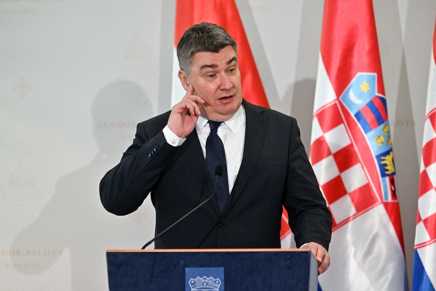 Zoranas Milanovičius.<br>AFP/Scanpix nuotr.