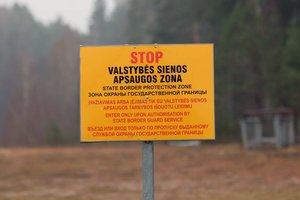 Ekspertas siūlo stiprinti strateginės reikšmės objektų apsaugą nuo dronų, ministerija patikina – neviešai, bet apsisaugojimas vyksta