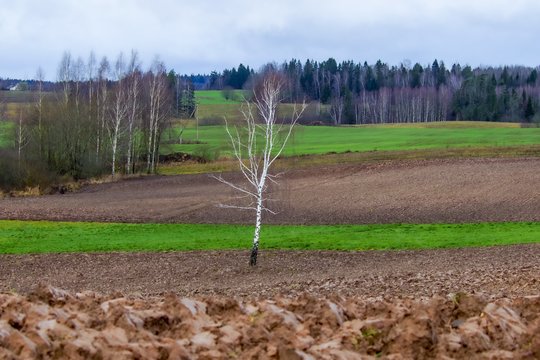 Nacionalinė mokėjimo agentūra (NMA) primena įsipareigojimus pagal Lietuvos kaimo plėtros 2014–2020 metų programos (KPP) priemonės „Agrarinė aplinkosauga ir klimatas“ veiklas ir informuoja, kad nuo vasario 15 d. pradės tikrinti, kaip jie vykdomi.