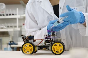 Naujas robotas kvapų atpažinimui naudoja skėrio anteną