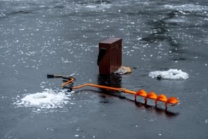 Iki balandžio 30 d. šių žuvų žvejoti negalima: gresia bauda iki 300 eurų