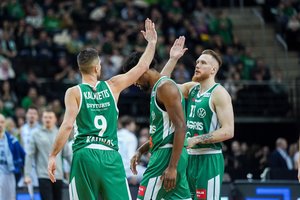 Kurioms LKL komandoms geriausiai sekėsi sausį?