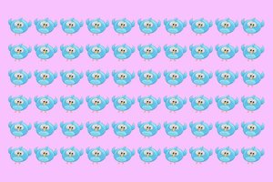 Suranda ne visi: ar matote, kuris paukštis skiriasi nuo kitų?