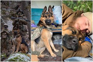 Į Ukrainos gynėjų automobilį įšokęs šuo tapo daugiau negu talismanu: padavinėja šovinius rusams atakuoti