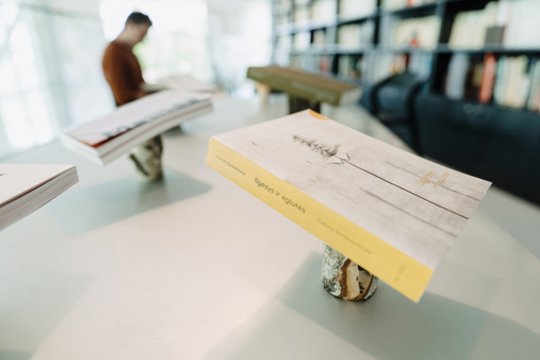 Knygos meno konkurse dalyvauja 113 leidinių